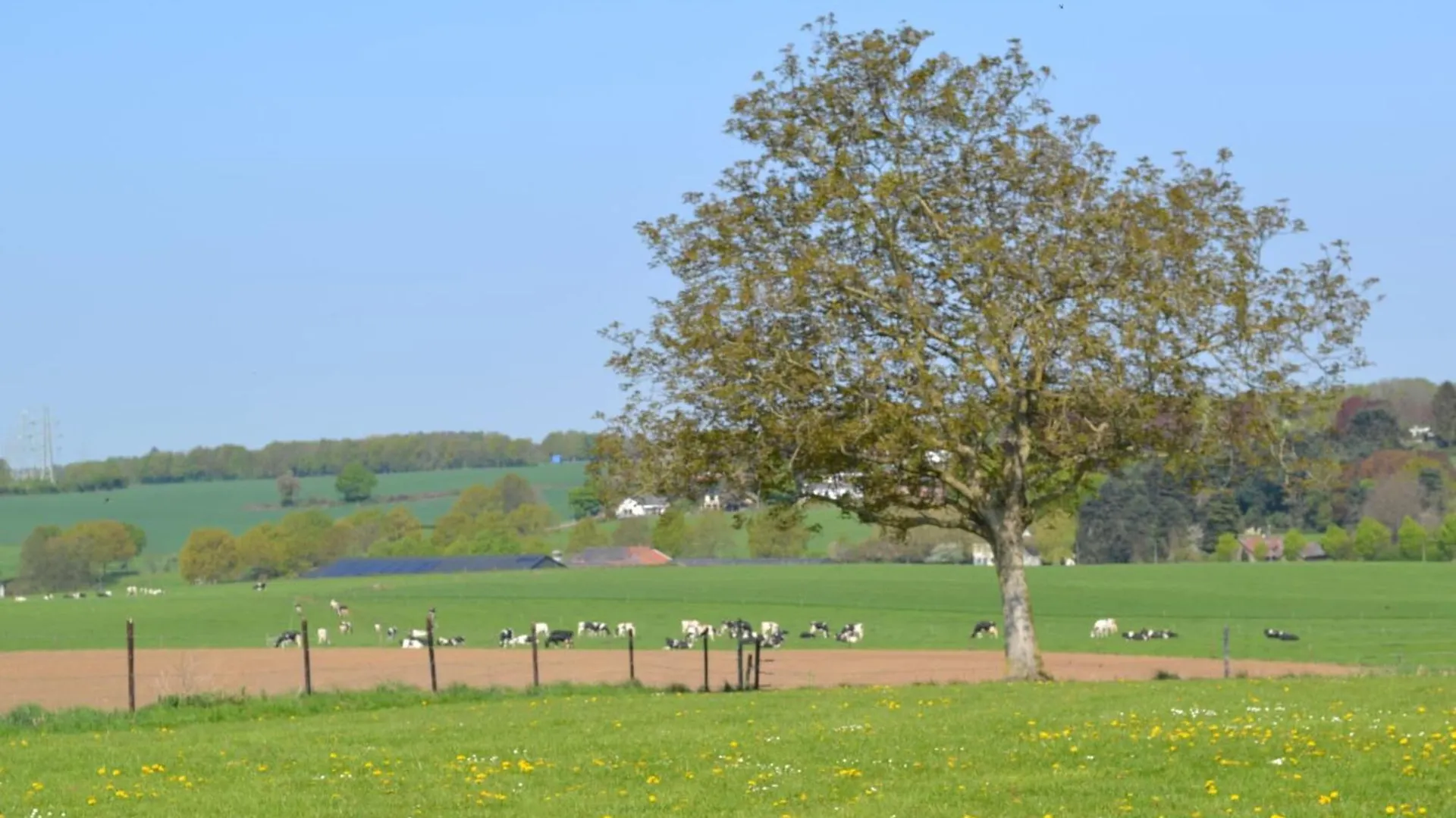Attractive Farmhouse In South Limburg With Terrace Villa Klimmen Holiday home